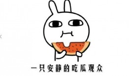 快手网红吃瓜事件,揭秘网络舆论背后的真相与争议