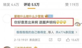 大粉连麦爆料视频大全,视频大全背后的精彩瞬间